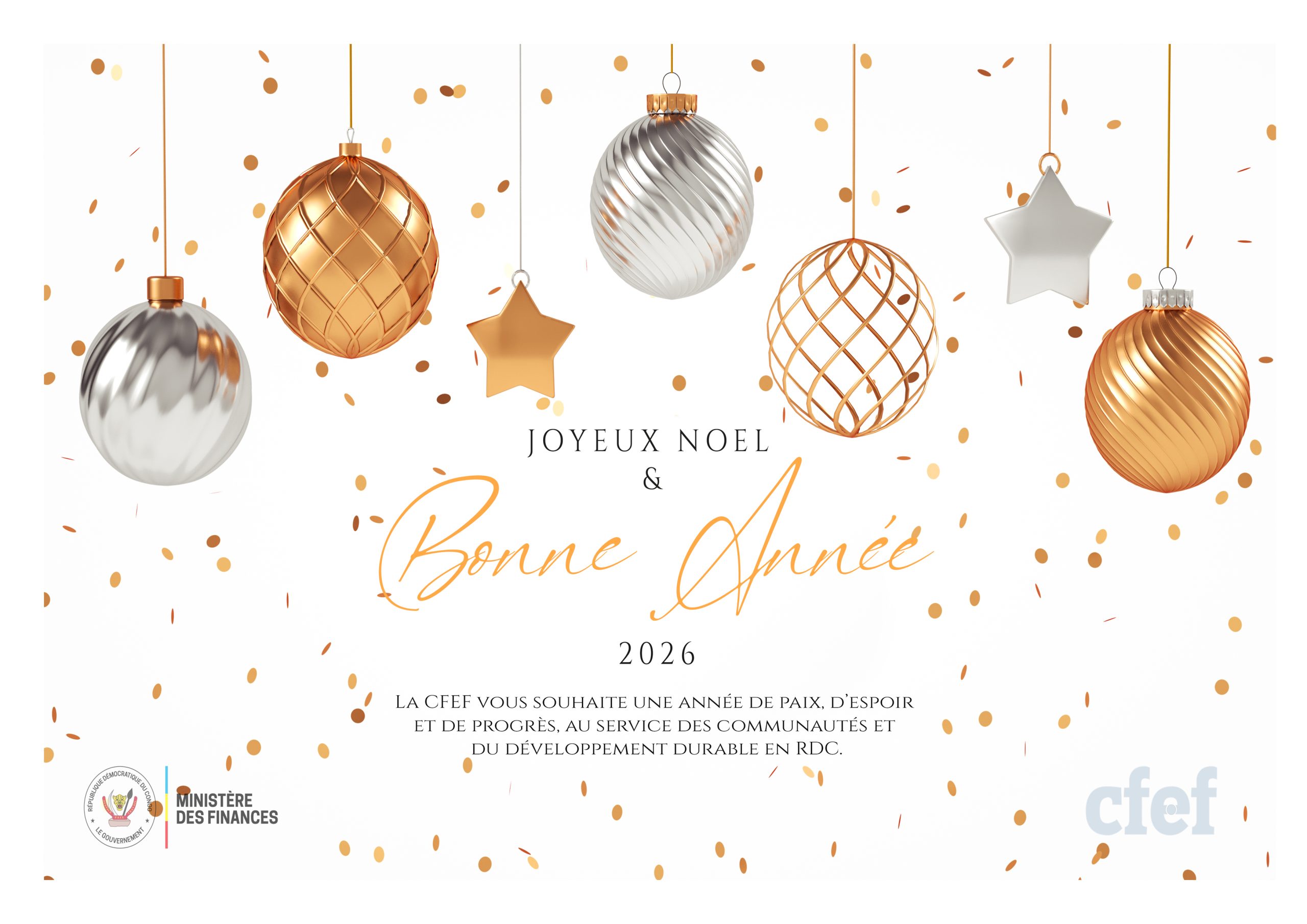 Meilleurs vœux 2026